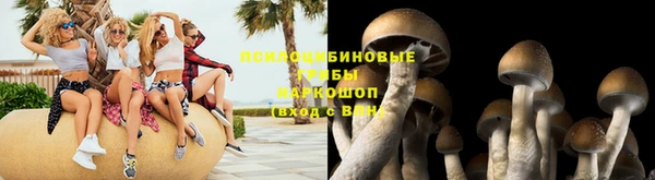 дмт Алексеевка