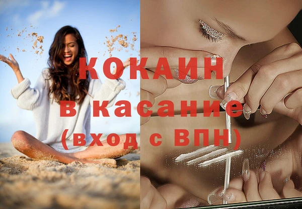 ешки Ельня