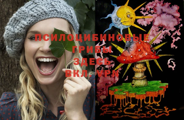 дмт Алексеевка