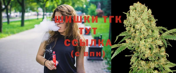 дмт Алексеевка