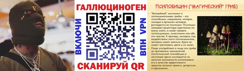 Галлюциногенные грибы Psilocybe  даркнет сайт  Берёзовский 